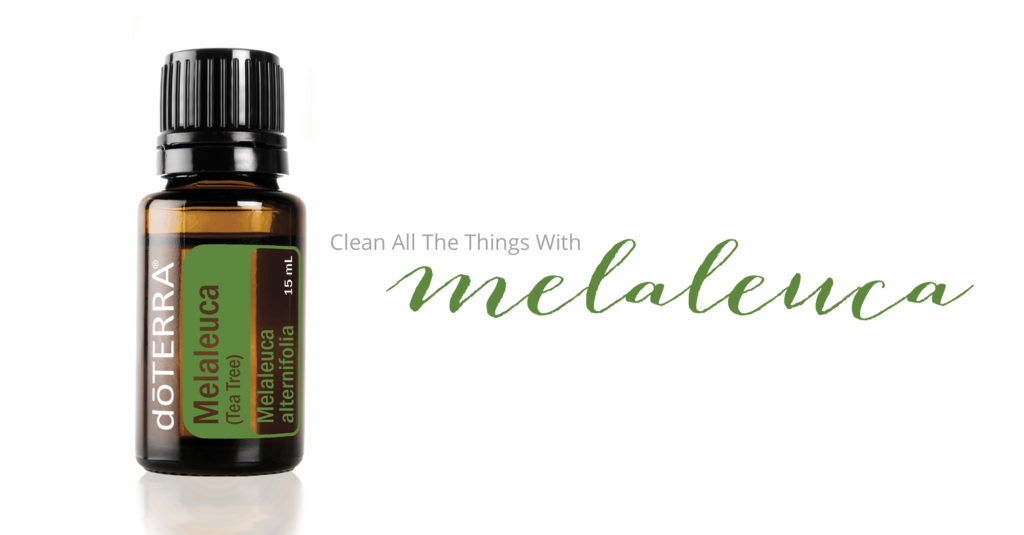 Essential Oils Melaleuca