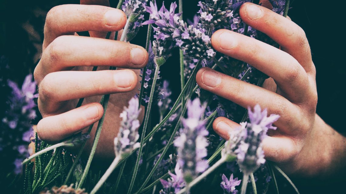 10 Ways To Use Essential Oils in Your Everyday Life Feature Image