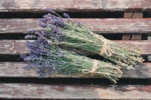 4 Amazing Essential Oils for Skin and Aromatherapy
